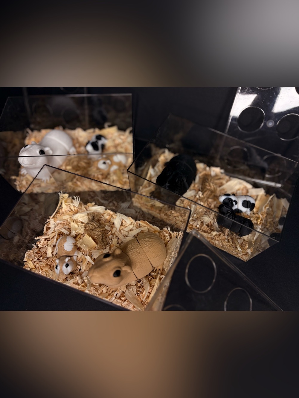Play pretend pet hamsters/guinea pigs with cage